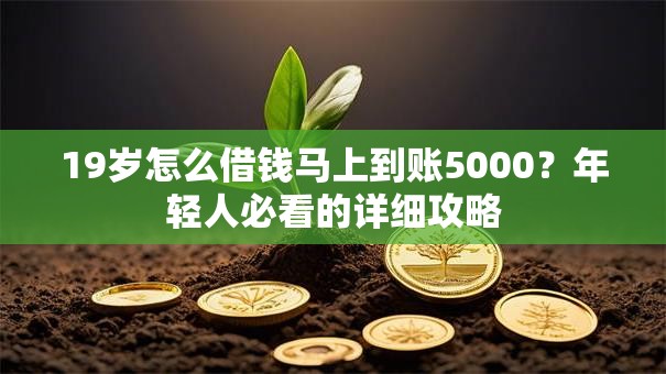 19岁怎么借钱马上到账5000？年轻人必看的详细攻略
