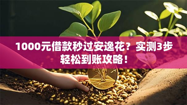 1000元借款秒过安逸花？实测3步轻松到账攻略！