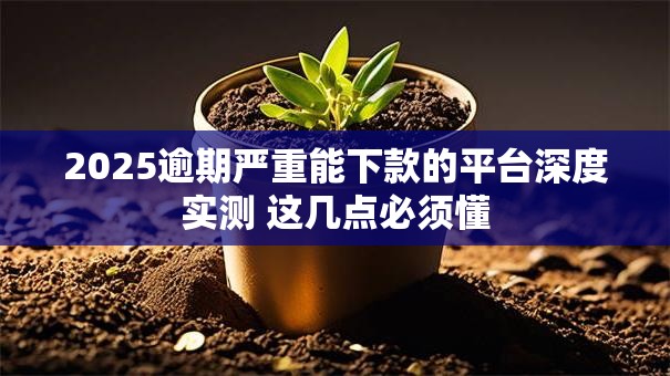 2025逾期严重能下款的平台深度实测 这几点必须懂 2025逾期严重能下款的平台深度实测 这几点必须懂