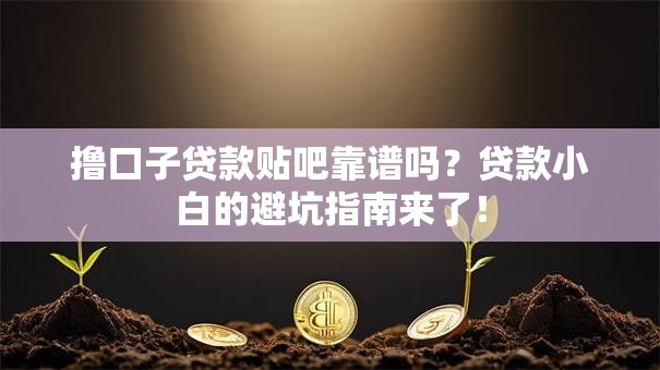 撸口子贷款贴吧靠谱吗?贷款小白的避坑指南来了! 撸口子贷款贴吧靠谱吗?贷款小白的避坑指南来了!