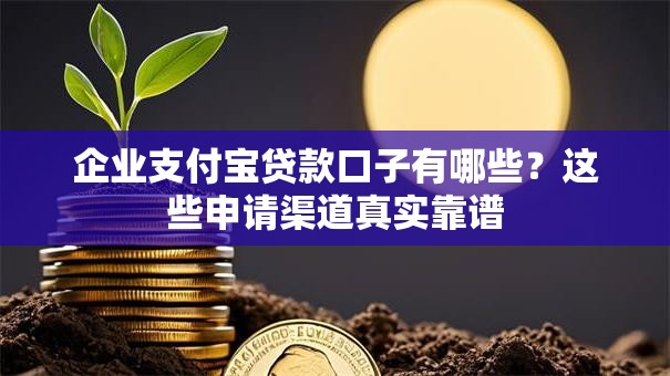 企业支付宝贷款口子有哪些?这些申请渠道真实靠谱 企业支付宝贷款口子有哪些?这些申请渠道真实靠谱