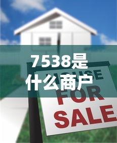 7538是什么商户?POS机刷卡消费背后的秘密与贷款影响解析 7538是什么商户?POS机刷卡消费背后的秘密与贷款影响解析