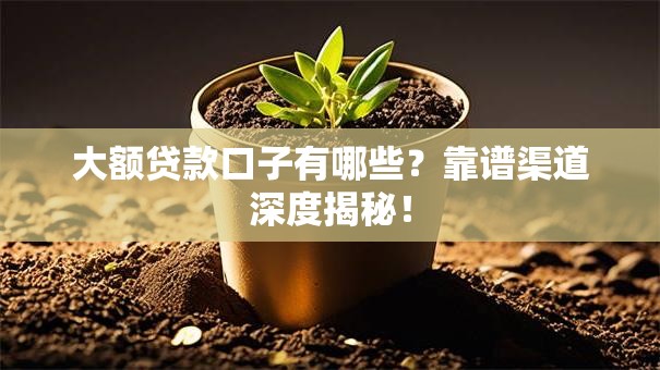 大额贷款口子有哪些？靠谱渠道深度揭秘！