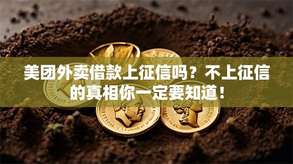 美团外卖借款上征信吗？不上征信的真相你一定要知道！