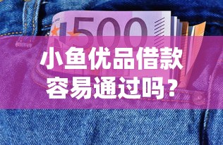 小鱼优品借款容易通过吗?实测申请攻略+避坑指南来啦! 小鱼优品借款容易通过吗?实测申请攻略+避坑指南来啦!