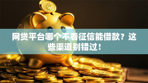 网贷平台哪个不看征信能借款?这些渠道别错过! 网贷平台哪个不看征信能借款?这些渠道别错过!