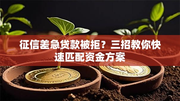 征信差急贷款被拒?三招教你快速匹配资金方案 征信差急贷款被拒?三招教你快速匹配资金方案