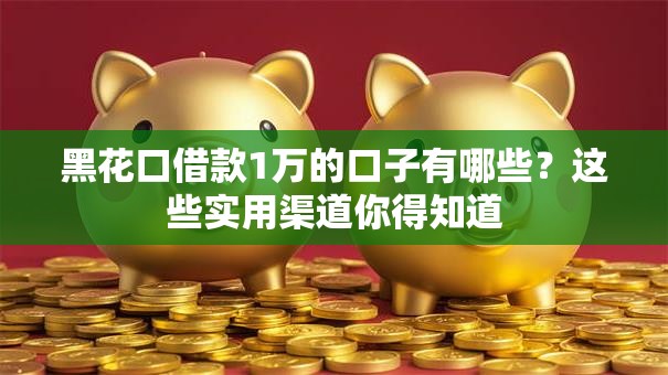 黑花口借款1万的口子有哪些？这些实用渠道你得知道