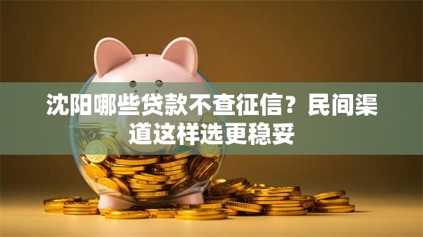 沈阳哪些贷款不查征信？民间渠道这样选更稳妥