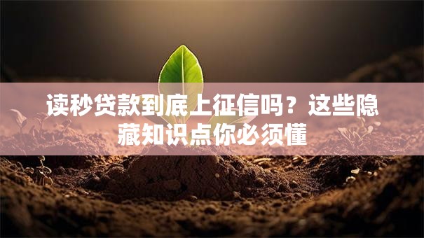 读秒贷款到底上征信吗?这些隐藏知识点你必须懂 读秒贷款到底上征信吗?这些隐藏知识点你必须懂