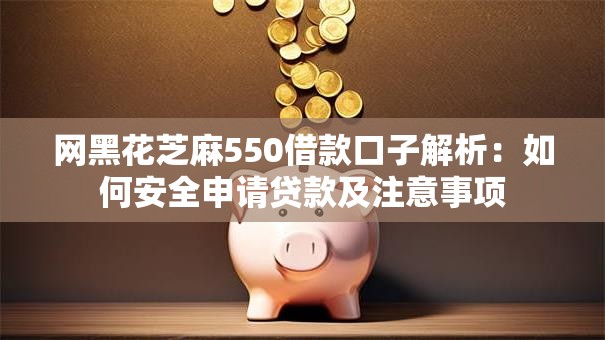 网黑花芝麻550借款口子解析：如何安全申请贷款及注意事项