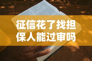 征信花了找担保人能过审吗？真实案例分析