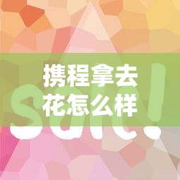 携程拿去花怎么样?解读这款创新服务的优势与使用技巧 携程拿去花怎么样?解读这款创新服务的优势与使用技巧