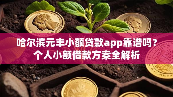 哈尔滨元丰小额贷款app靠谱吗？个人小额借款方案全解析