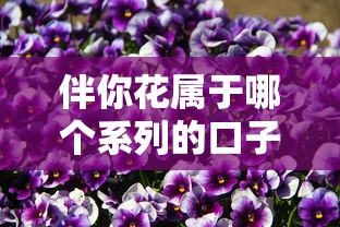 伴你花属于哪个系列的口子?一图解析平台背景与产品优势 伴你花属于哪个系列的口子?一图解析平台背景与产品优势