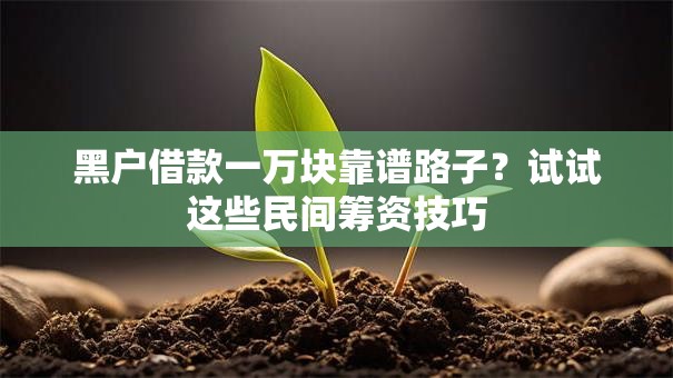 黑户借款一万块靠谱路子?试试这些民间筹资技巧 黑户借款一万块靠谱路子?试试这些民间筹资技巧