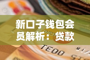 新口子钱包会员解析：贷款攻略与核心优势一览