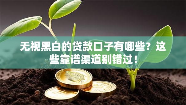 无视黑白的贷款口子有哪些？这些靠谱渠道别错过！