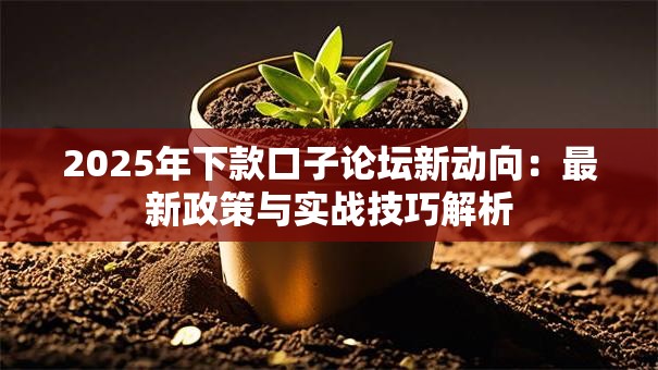 2025年下款口子论坛新动向:最新政策与实战技巧解析 2025年下款口子论坛新动向:最新政策与实战技巧解析