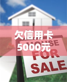 欠信用卡5000元会被起诉吗?真实情况深度解析 欠信用卡5000元会被起诉吗?真实情况深度解析