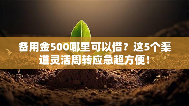 备用金500哪里可以借?这5个渠道灵活周转应急超方便! 备用金500哪里可以借?这5个渠道灵活周转应急超方便!