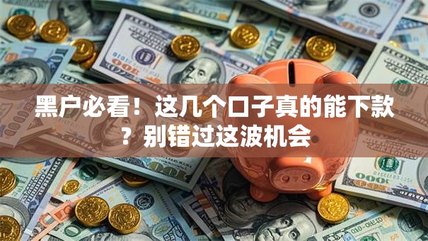 黑户必看！这几个口子真的能下款？别错过这波机会