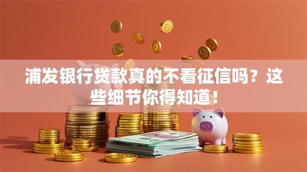 浦发银行贷款真的不看征信吗？这些细节你得知道！