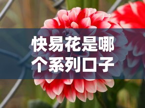 快易花是哪个系列口子?解析平台背景与产品特色 快易花是哪个系列口子?解析平台背景与产品特色