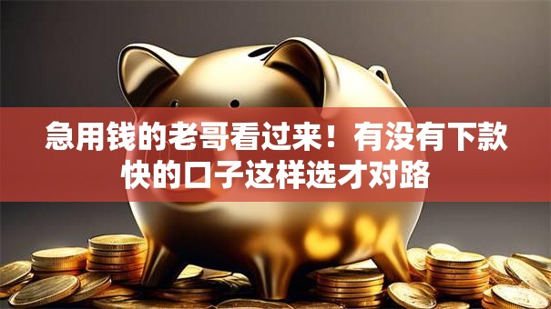 急用钱的老哥看过来!有没有下款快的口子这样选才对路 急用钱的老哥看过来!有没有下款快的口子这样选才对路