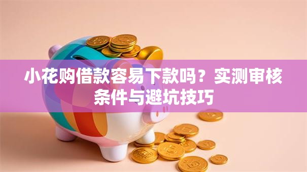 小花购借款容易下款吗?实测审核条件与避坑技巧 小花购借款容易下款吗?实测审核条件与避坑技巧