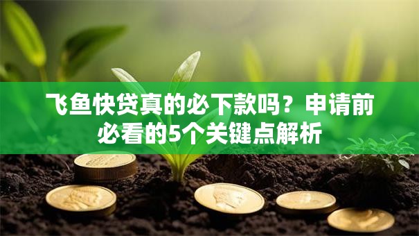 飞鱼快贷真的必下款吗？申请前必看的5个关键点解析