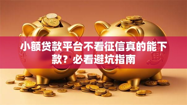 小额贷款平台不看征信真的能下款？必看避坑指南
