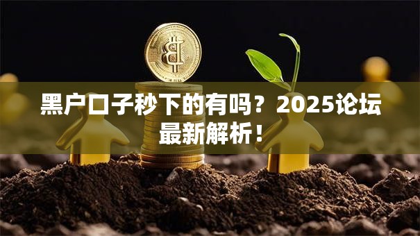 黑户口子秒下的有吗?2025论坛最新解析! 黑户口子秒下的有吗?2025论坛最新解析!