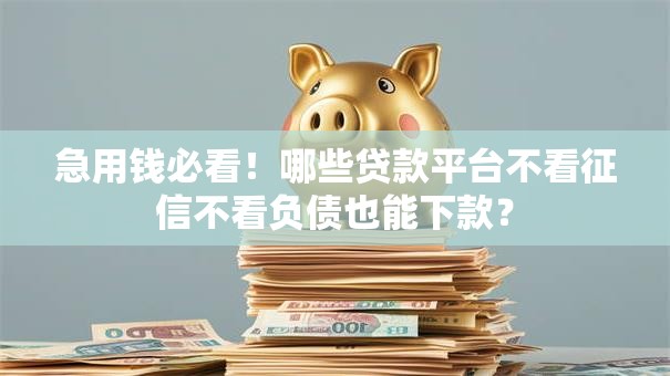 急用钱必看!哪些贷款平台不看征信不看负债也能下款? 急用钱必看!哪些贷款平台不看征信不看负债也能下款?