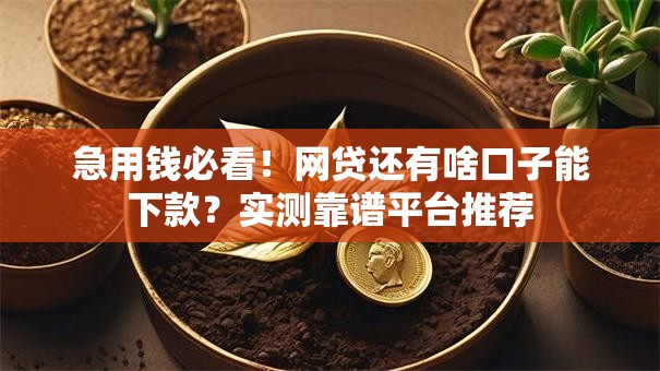 急用钱必看！网贷还有啥口子能下款？实测靠谱平台推荐