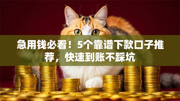 急用钱必看!5个靠谱下款口子推荐,快速到账不踩坑 急用钱必看!5个靠谱下款口子推荐,快速到账不踩坑