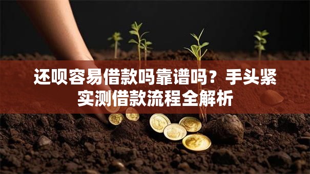 还呗容易借款吗靠谱吗?手头紧实测借款流程全解析 还呗容易借款吗靠谱吗?手头紧实测借款流程全解析