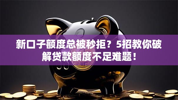 新口子额度总被秒拒?5招教你破解贷款额度不足难题! 新口子额度总被秒拒?5招教你破解贷款额度不足难题!