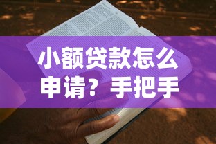 小额贷款怎么申请?手把手教你搞懂手续和条件 小额贷款怎么申请?手把手教你搞懂手续和条件
