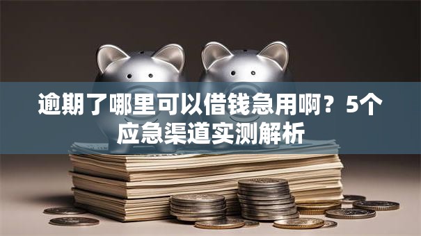 逾期了哪里可以借钱急用啊?5个应急渠道实测解析 逾期了哪里可以借钱急用啊?5个应急渠道实测解析