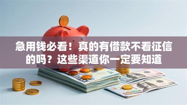 急用钱必看!真的有借款不看征信的吗?这些渠道你一定要知道 急用钱必看!真的有借款不看征信的吗?这些渠道你一定要知道