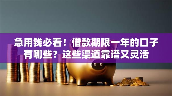 急用钱必看!借款期限一年的口子有哪些?这些渠道靠谱又灵活 急用钱必看!借款期限一年的口子有哪些?这些渠道靠谱又灵活