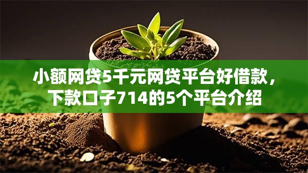小额网贷5千元网贷平台好借款，下款口子714的5个平台介绍