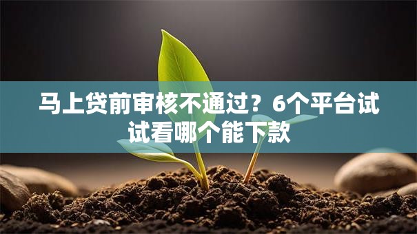 马上贷前审核不通过？6个平台试试看哪个能下款
