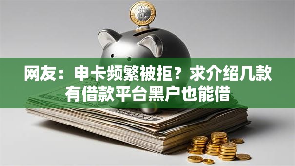 网友：申卡频繁被拒？求介绍几款有借款平台黑户也能借