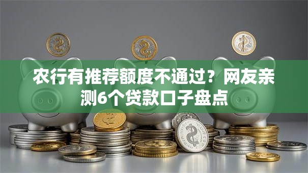 农行有推荐额度不通过？网友亲测6个贷款口子盘点
