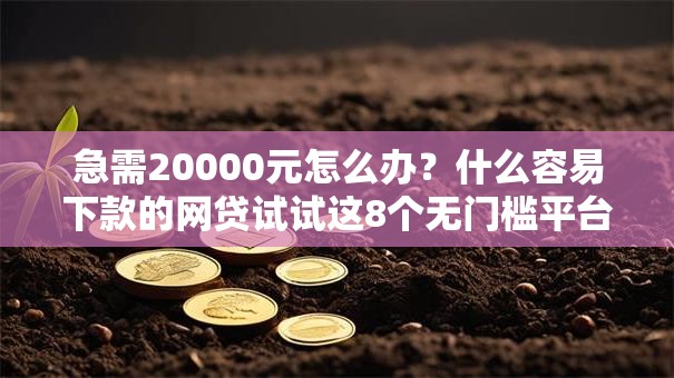 急需20000元怎么办？什么容易下款的网贷试试这8个无门槛平台