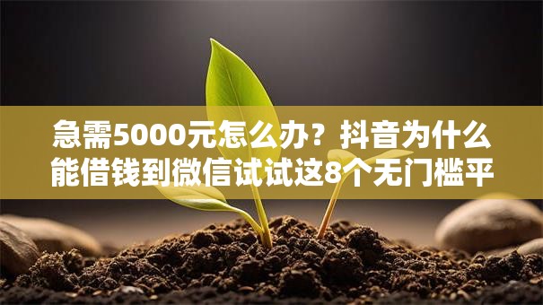 急需5000元怎么办？抖音为什么能借钱到微信试试这8个无门槛平台