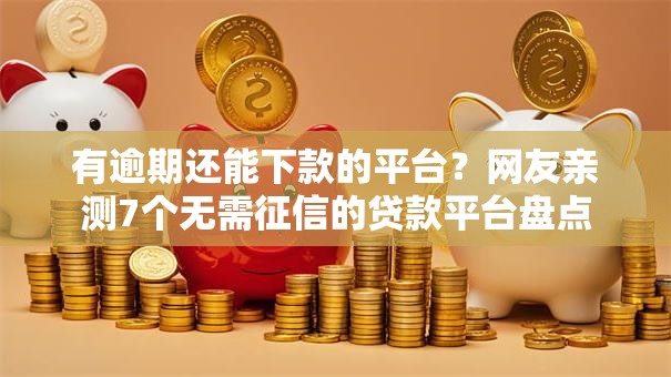 有逾期还能下款的平台？网友亲测7个无需征信的贷款平台盘点