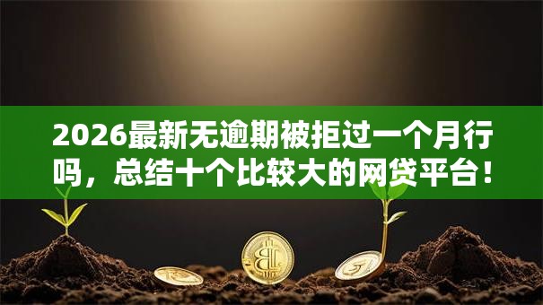 2026最新无逾期被拒过一个月行吗，总结十个比较大的网贷平台！